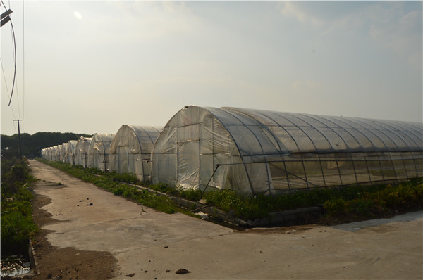 �߲˴������