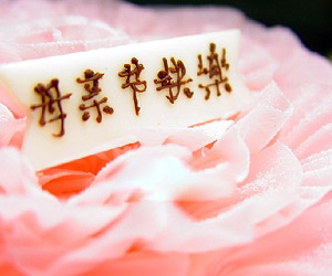 ĸ�׽ھ�Т��ɫ����